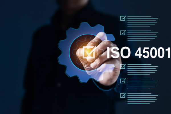 iso 45001 occupational health and safety Training